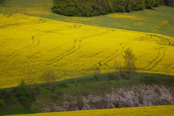 Beautiful Landscape in Hohenlohe, Baden-Württemberg, Germany, Europe