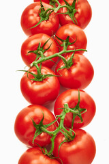 tomatoes on a white background