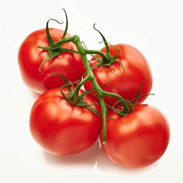 red tomatoes on the vine on a white background 