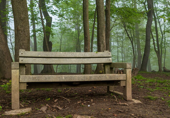 A wooden park bench on a tree line in Frick Park on a foggy spring morning in Pittsburgh, Pennsylvania, USA