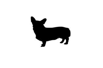 black silhouette of a dog short leg