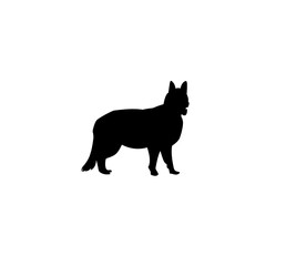 black silhouette of a dog short leg standing
