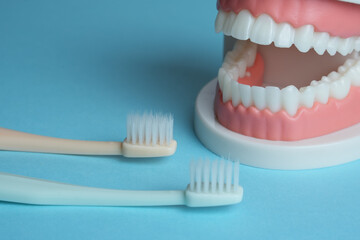 デンタルケア　歯科　歯磨き　歯科健診　歯ブラシ