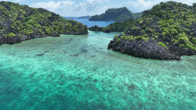 Healthy fringing coral reefs grow around the dramatic limestone islands that rise from Raja Ampat's seascape. This remote part of Indonesia is known for its incredibly high marine biodiversity.