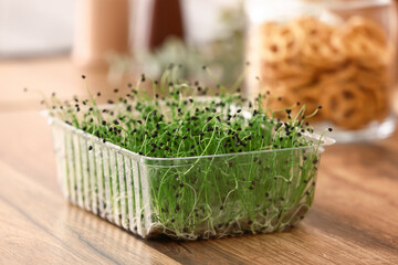 Obraz premium Plastic container with fresh micro green on table in kitchen