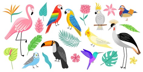 Fototapeta premium Exotic birds and tropical plants. Bright decorative plumage creatures, beautiful parrots and flamingo, monstera and palm leaves, vector set