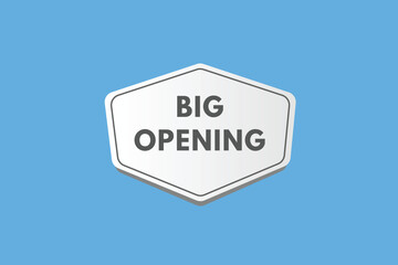 Big Opening text Button. Big Opening Sign Icon Label Sticker Web Buttons