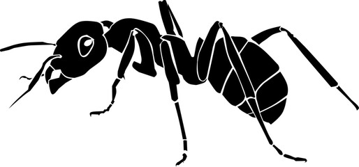 ant vector