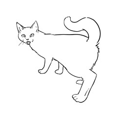猫の線画　透過