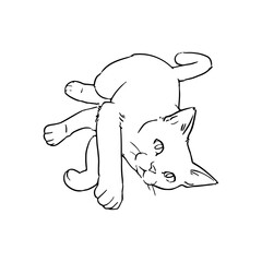 猫の線画　透過