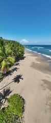 Escape to the idyllic tropical paradise of Tambor Beach in Costa Rica, where swaying palm trees and pristine white sands await.