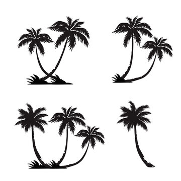 set of palm trees