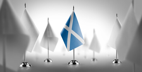 The national flag of the Scotland surrounded by white flags