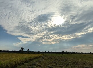 Naklejka premium clouds and sun