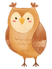 Owl bird . Watercolor paint design . Cute animal cartoon character . Vector .