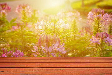 on an empty wooden table on the background of colorful flowers in the garden In close range and bright sunlight