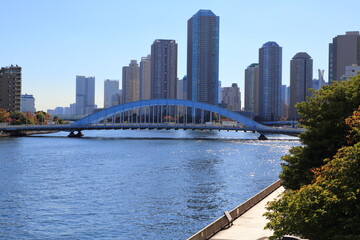 高層マンション群を背景に控える隅田川と永代橋の見える風景