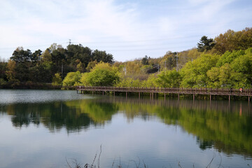 Fototapeta na wymiar Trees and sky are reflected in the calm lake