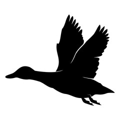 silhouette of a duck