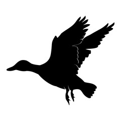 silhouette of a duck