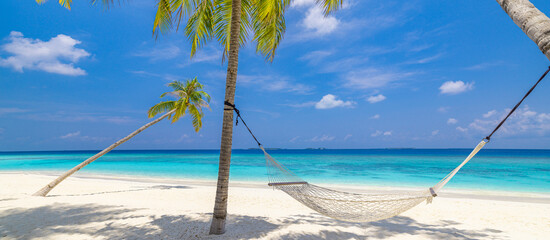 Tranquil relax beach as summer island landscape with beach swing or hammock on palm, freedom tropical sunny sea sky. Amazing beach panorama vacation and summer holiday concept. Inspire carefree travel