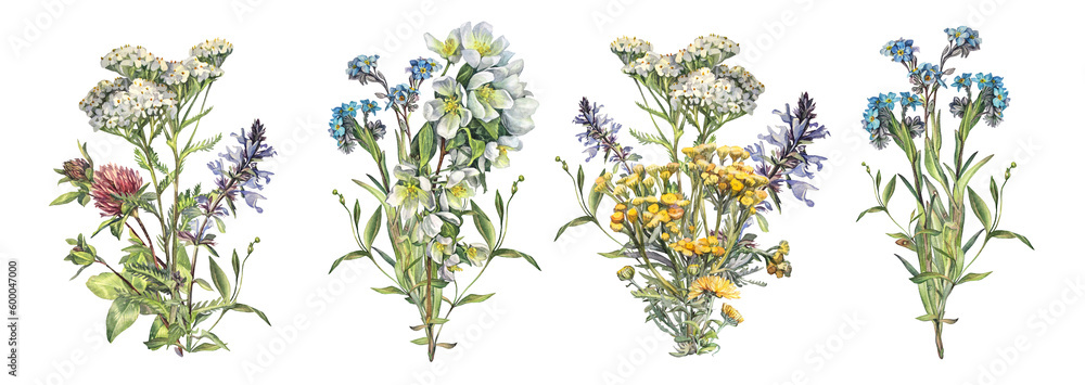 Wall mural Set watercolor bouquet with meadow wildflowers isolated on white background. Yarrow forget me not clover tansy lungwort apple flower. Wild plant for wedding invite. Summer spring hand-drawn clipart