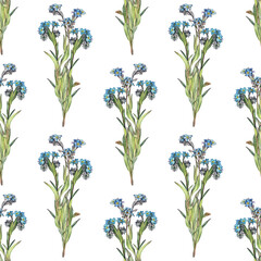 Seamless pattern with watercolor forget - me - not on white background. Spring and summer flower for sketchbook or card. Hand-drawn art for wallpaper or wrapping. Vintage romantic element