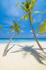 Beautiful travel landscape Summer background nature of tropical paradise beach, sunlight palm tree leaves. Tranquil sand beach close-up, sea, blue sky, white clouds. Copy space exotic vacation concept