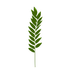 Illustration of green leaves icon can be used for elements 