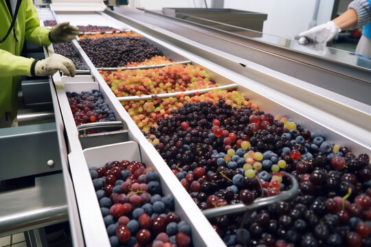 winery machinery process grape factory manufacturing alcohol machine vine wine. Generative AI.