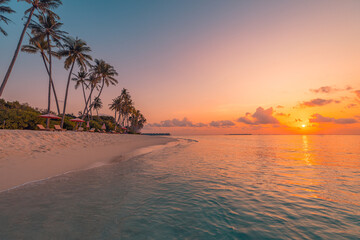 Tranquil closeup calm sea water waves with palm trees. Soft colors sunrise sunset sunlight. Tropical island beach landscape exotic shore coast. Summer vacation, holiday amazing nature. Relax paradise