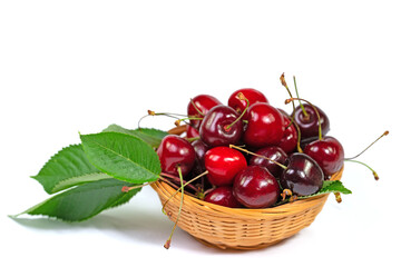 Süßkirschen, Vogelkirschen, Prunus avium