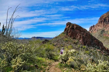 Foto op Canvas Desert and mountain scenery with unrecognisable hiker along the climb to Bull Pasture in the Ajo Mountains, Organ Pipe Cactus National Monument, southern Arizona, USA   © Hans