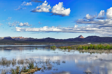 Panoramic view over the Rawhide Mountains and Alamo Lake in the morning sun, Arizona, USA. Recreational vehicle parked on a headland in the distance.

