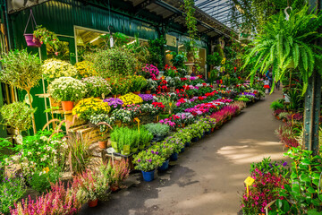 Fototapeta na wymiar Paris flower market