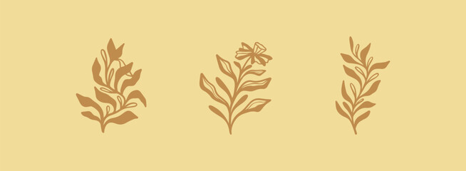 Floral branch and minimalist flowers for logo. Hand drawn line wedding herb, elegant leaves. Universal creative premium symbol. Vector sign icon logo template. Vector illustration