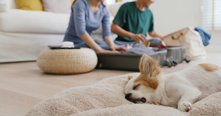 Relax safe pet lover family get away ready to get back to road trip. Asia people man woman choose clothing with love smile happy plan enjoy sit laugh fun folding stuff stack open and neat bag at home.