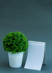 Blank notepad with green artificial plant, Modern office desk image