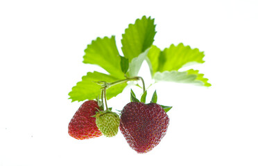 Strawberry on a white background