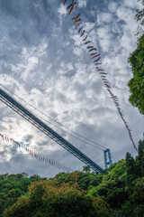 茨城県常陸太田市　新緑の竜神大吊り橋と鯉のぼり