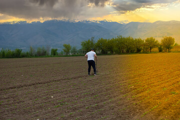 Back view of a farmer hoeing in a sugar beet field.