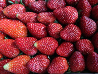 delicious strawberries fresh fruits natural seeds dessert red
