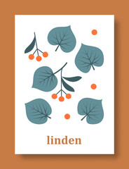 Abstract symbol of linden leaves in pastel colors. Simple minimal style of linden leaves. Vector illustration.