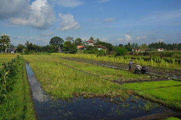 landscape with farmer plowing the field