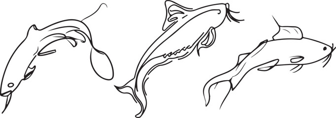 Obraz premium catfish Line art vector silhoutte 