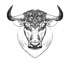 Year of the Ox, taurus zodiac sign, muzzle of a bull, farm animal. Isolated Vector illustration, line logo, tattoo engraving stylization, spanish bullfight logo.