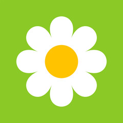 Camomile, flower great design for any purposes. Cartoon illustration with white camomile on green background.