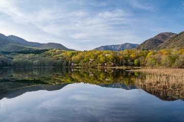 新緑の観音沼森林公園（福島県下郷町）