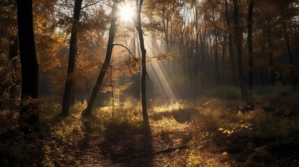 Fototapeta premium Disorienting scene of an collect time timberland with sunrays entering through the branches. AI Generated