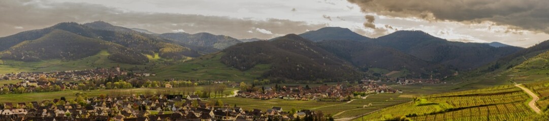 Fototapeta na wymiar Le massif vosgien vu depuis le Mont de Sigolsheim, Kaysersberg vignoble, Alsace, CeA, Grand Est, France